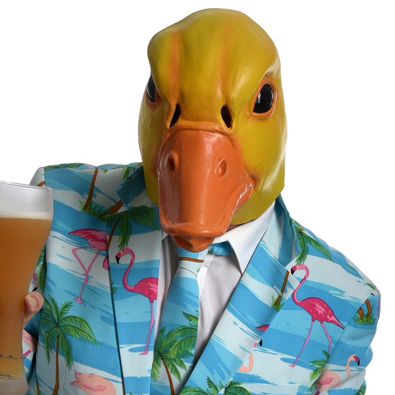 Ingo ohne Flamingo, artist on the WIRD WILD label